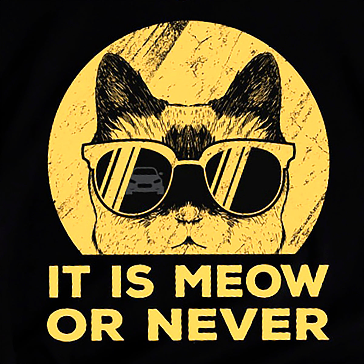 Tシャツ【ラッパー猫だミャオゥ】猫Tシャツ 猫グッズ 猫雑貨 おしゃれ猫