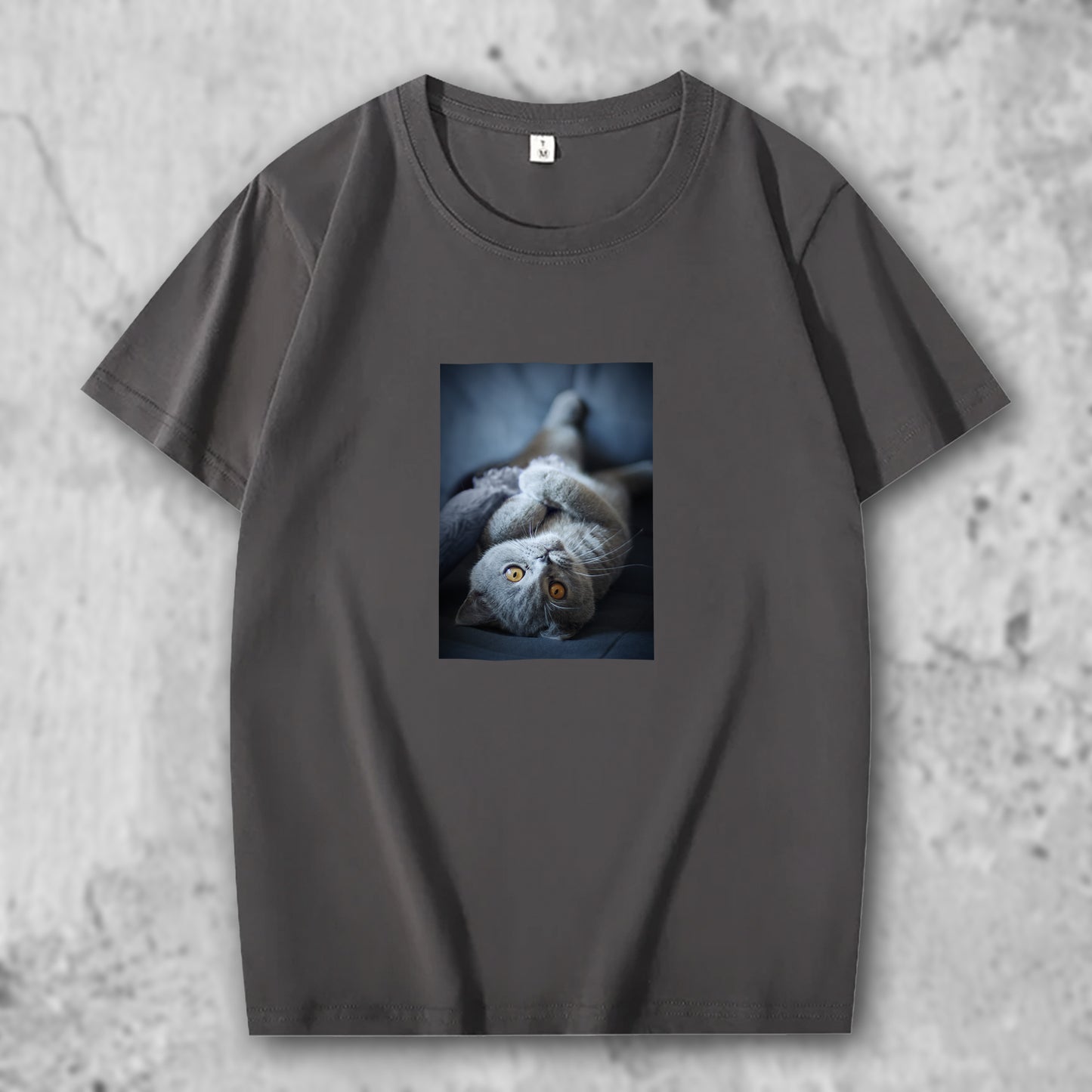 ブリティッシュショートへアの写真がプリントされたTシャツのダークグレー