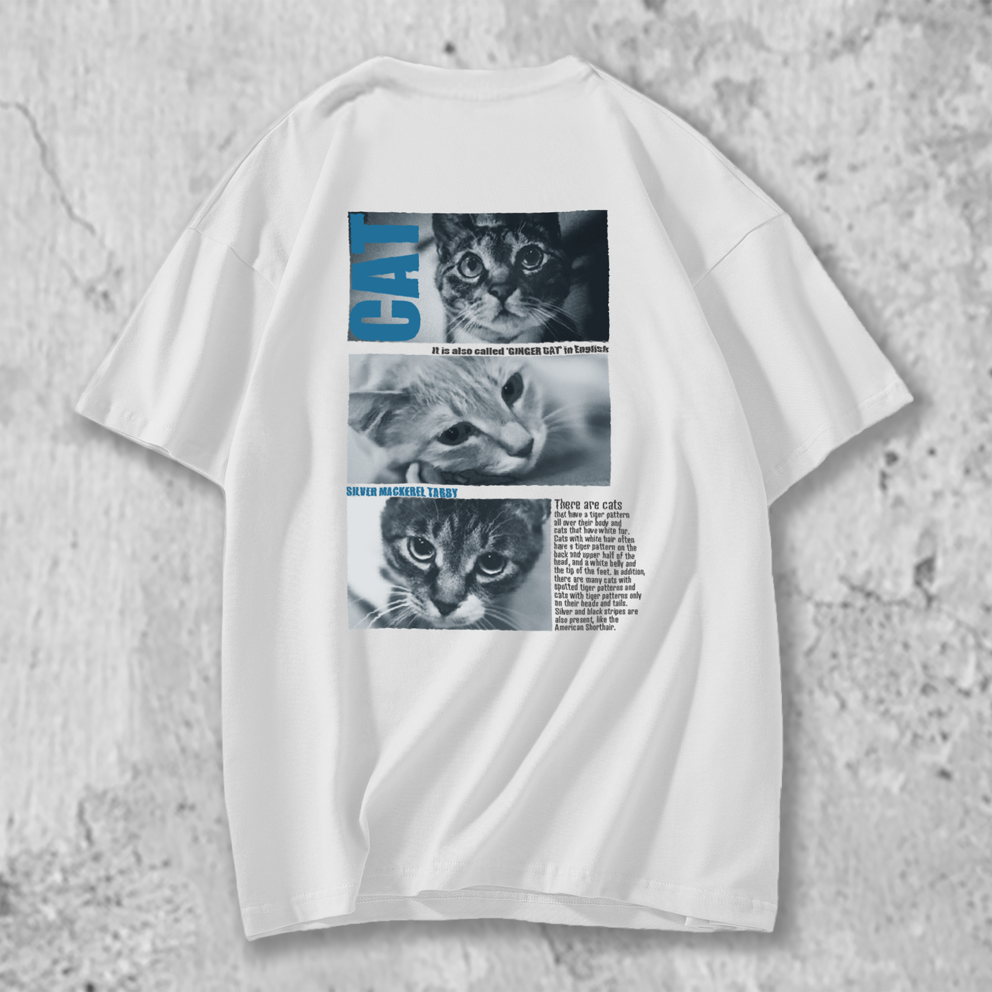 3匹の猫たちのTシャツの白