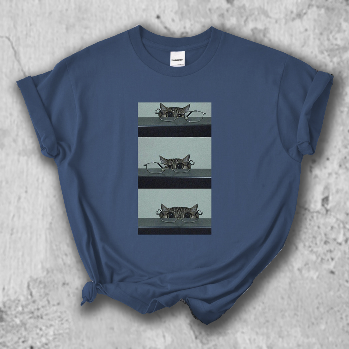 メガネで遊ぶ猫の写真のTシャツのヘイズブルー