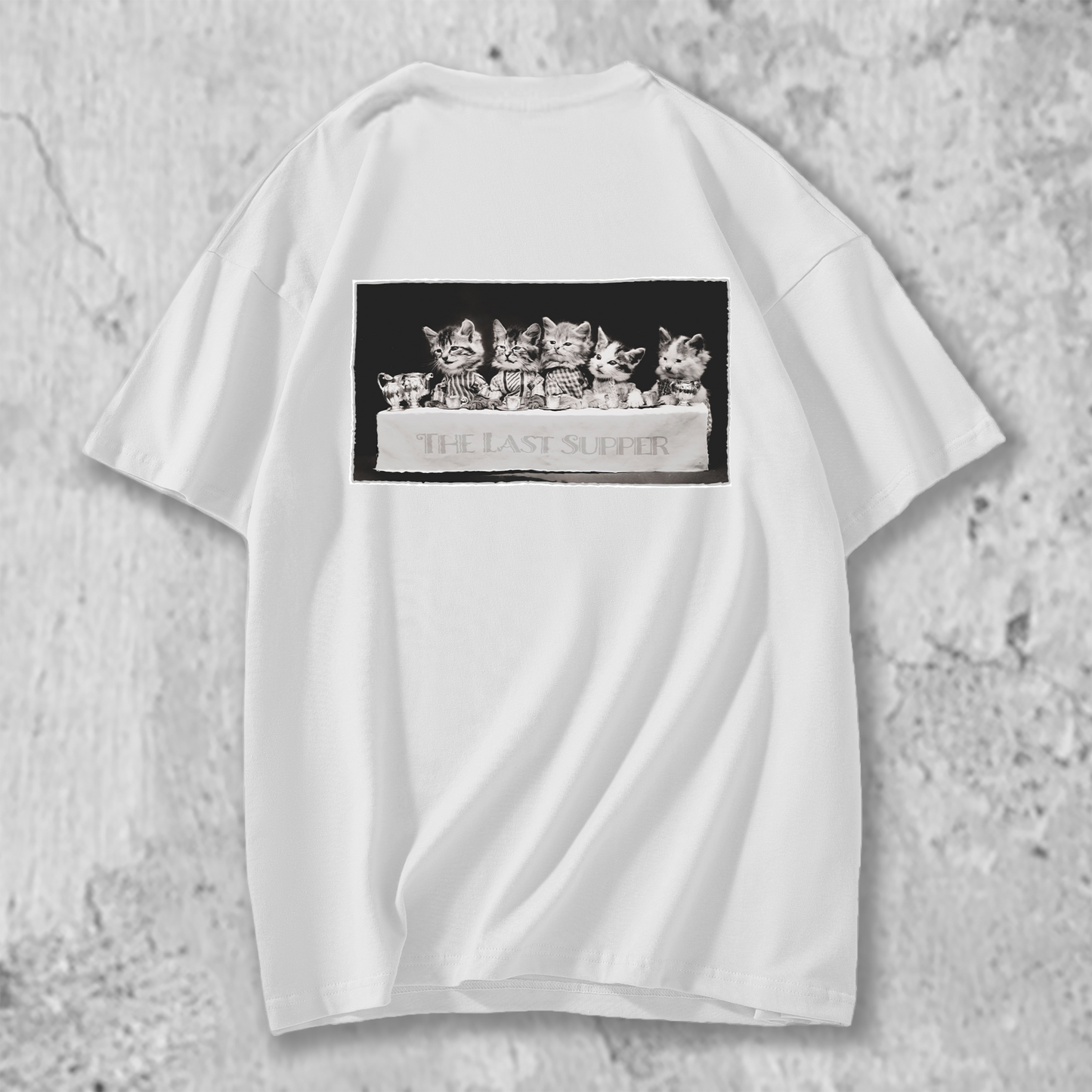 猫写真のTシャツの白