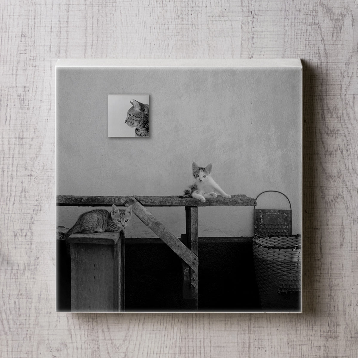 2匹の猫のアンティークフォトのキャンパスパネル