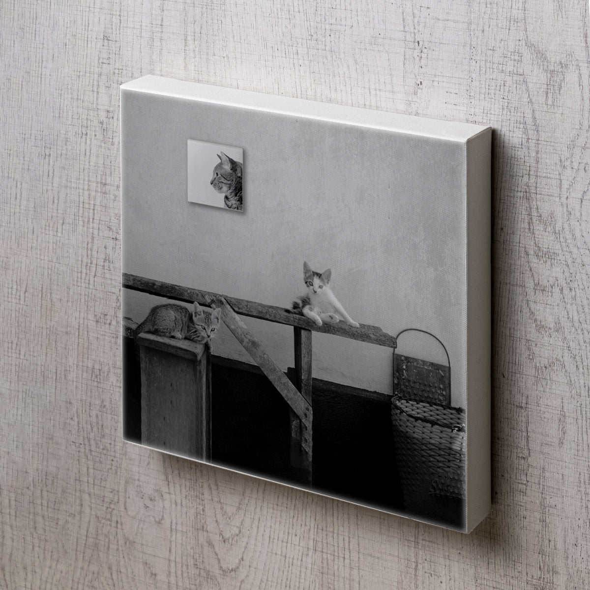 2匹の猫のアンティークフォトのキャンパスパネル