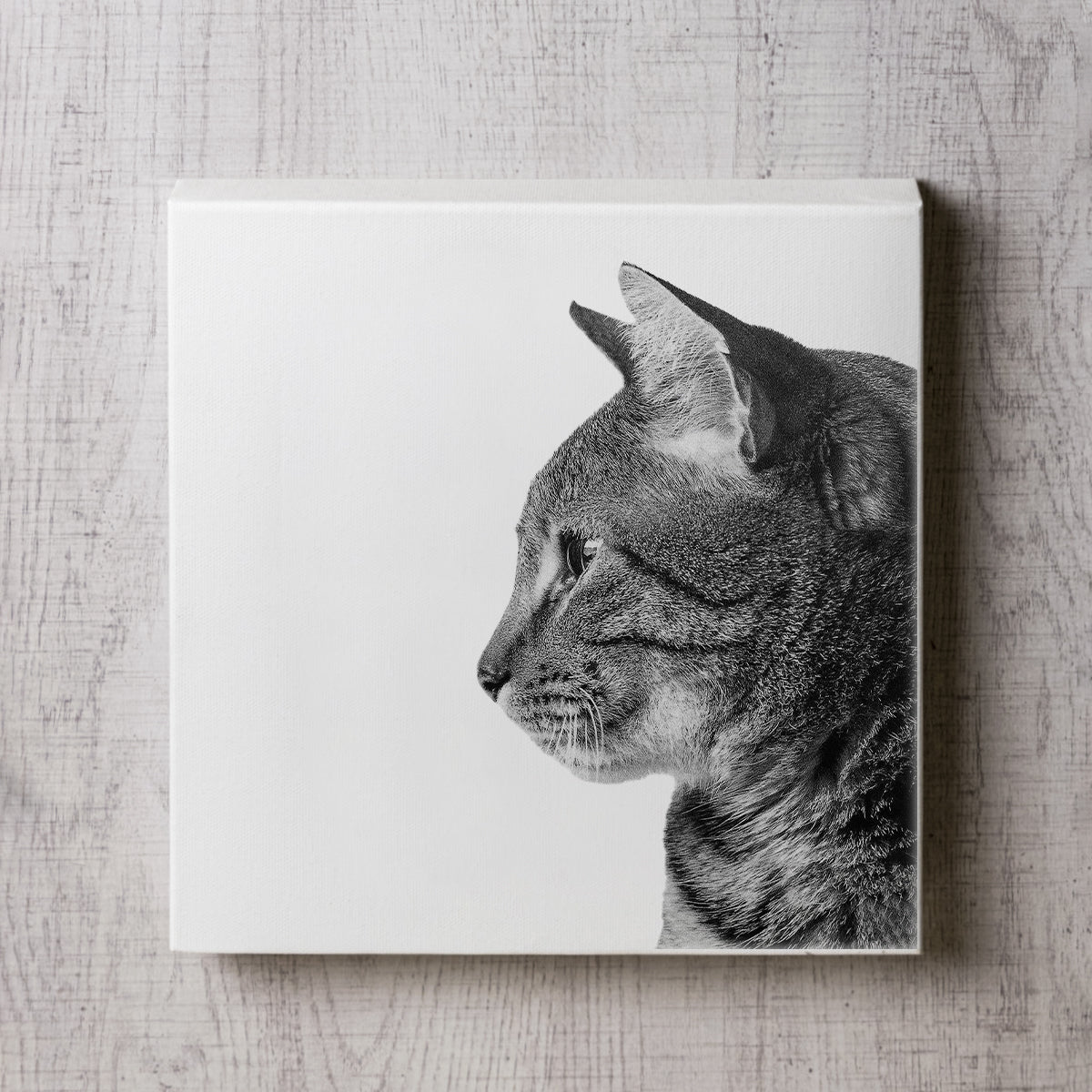 猫の横顔のキャンパスパネル