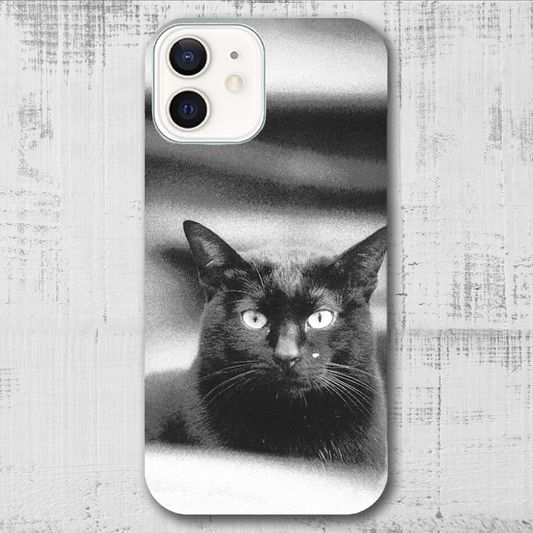 線路の猫の写真のアイフォンケース